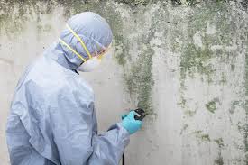 Sunrise, FL Mold Inspection Company